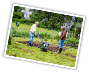 garten2